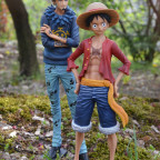 Luffy und Law