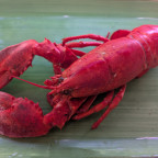 Schau mir in die Augen Kleines...