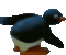 :pinguin-booty: